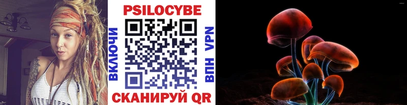Галлюциногенные грибы MAGIC MUSHROOMS  магазин продажи   Новомичуринск 