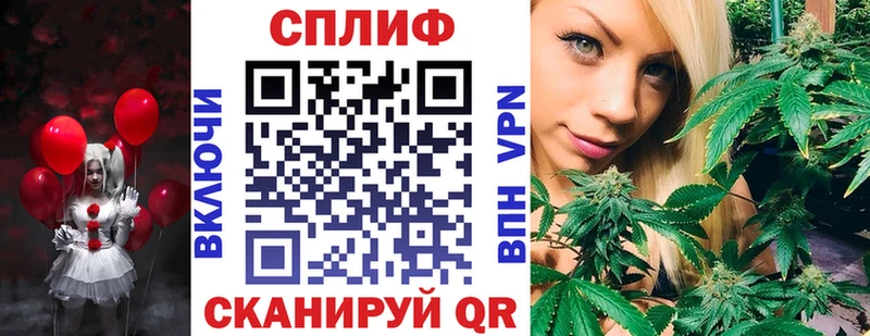 дарнет шоп  Новомичуринск  Канабис White Widow 